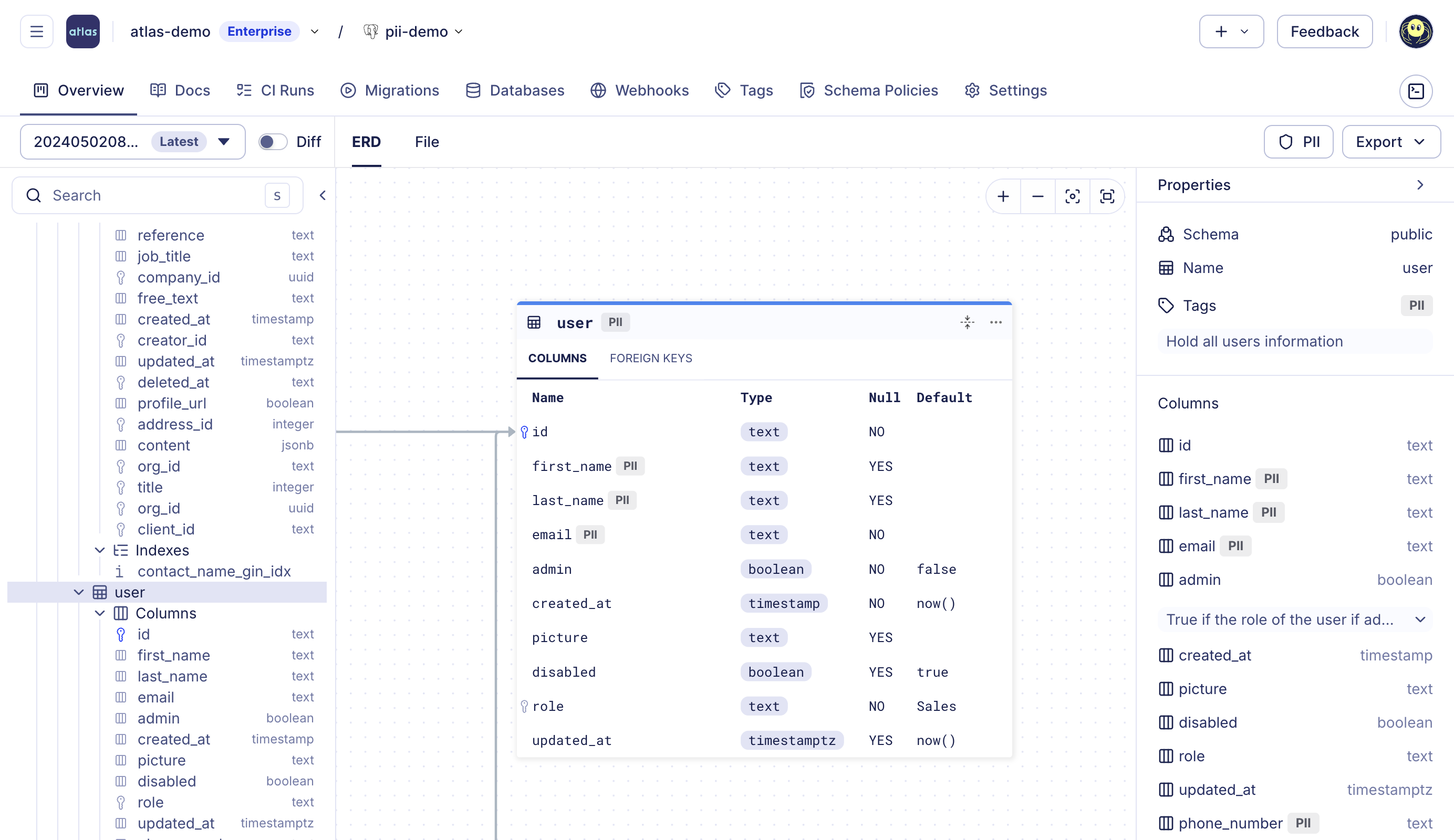 PII tagging in Atlas Registry